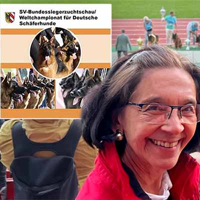 venta cachorros pastor alemán