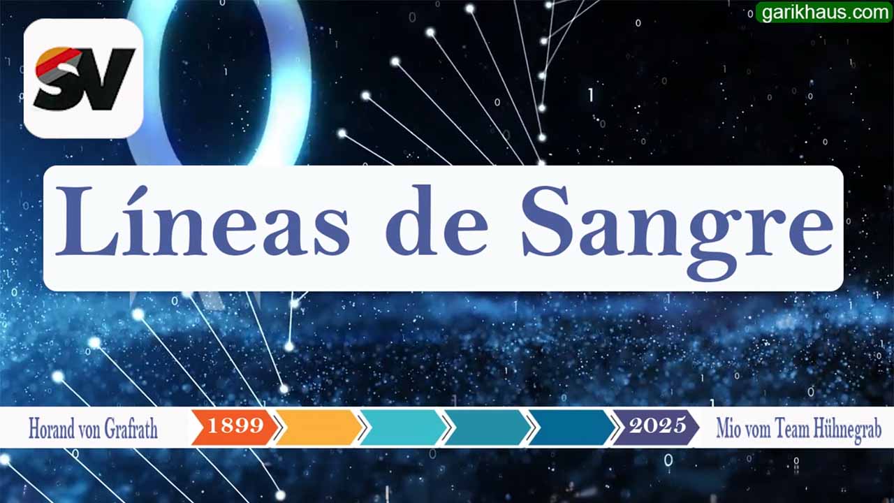 Líneas de Sangre BSZ 2025