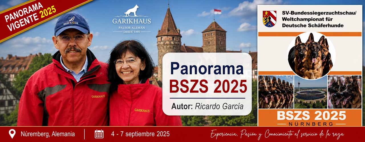 Panorama Garikhaus BSZS 2025