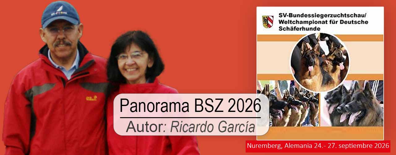 Panorama BSZS 2026