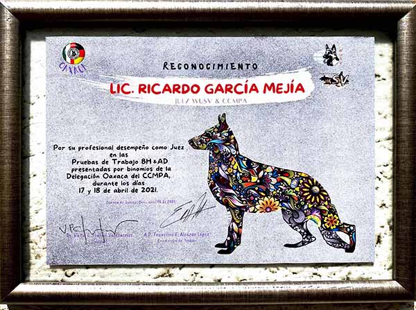 Diploma IGP Oaxaca 2021