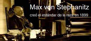 Max Stephanitz
