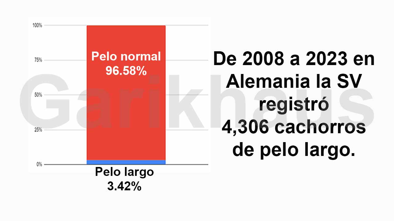 Gráfica registro en SV de cachorros de 2011 a 2019