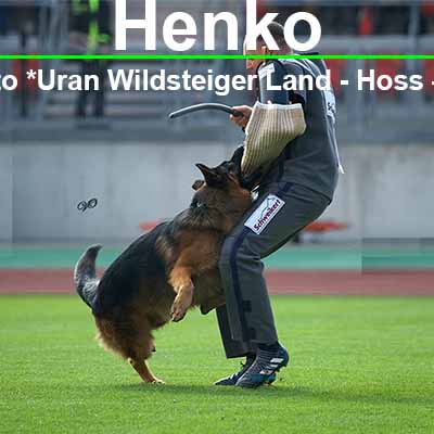 Henko Holtkämper Hof