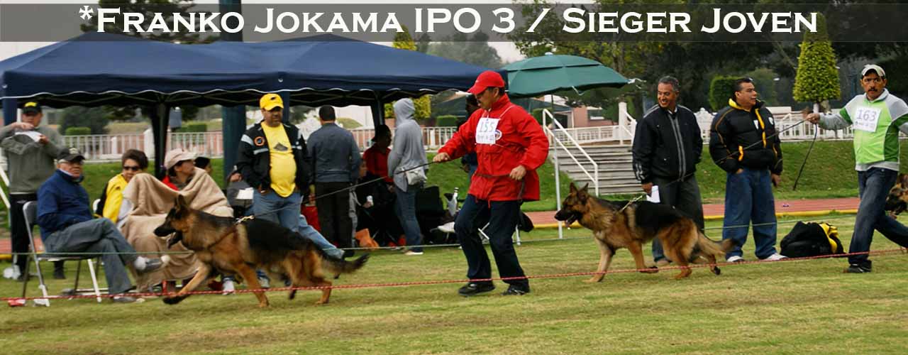 Franko von Jokama caminando