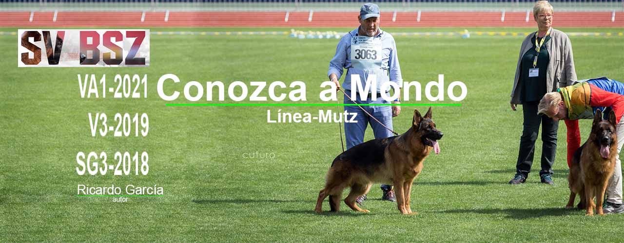 Mondo