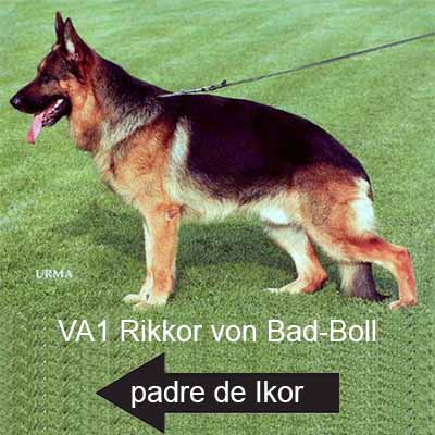 Rikkor Bad-Boll