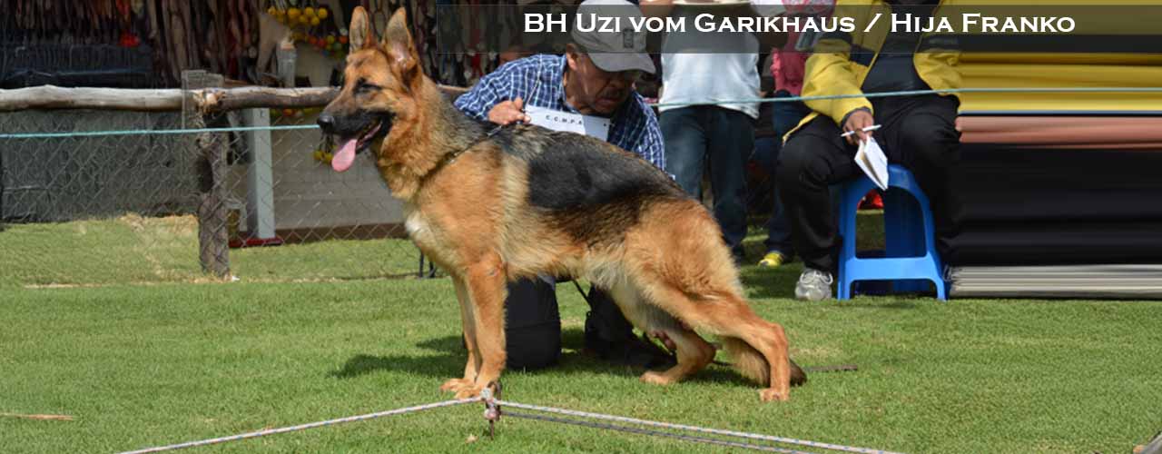 Uzi vom Garikhaus Sieger 2015