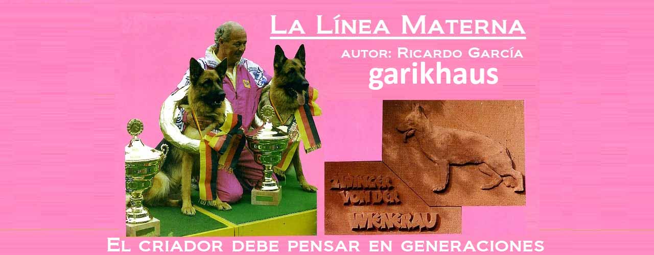 Walter Martin con Zamb y Vanta en podium