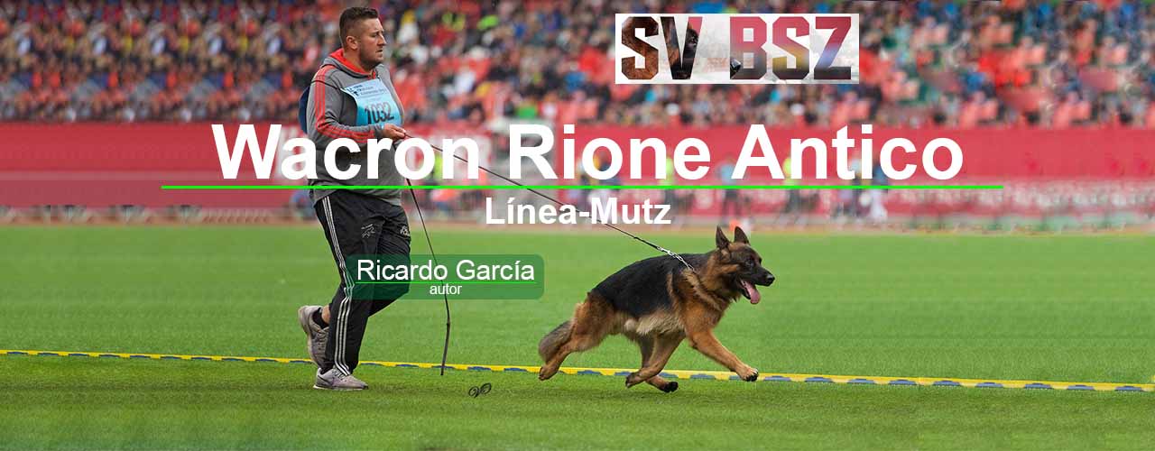 Wacron del Rione Antico