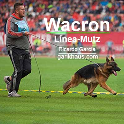 Wacron del Rione Antico