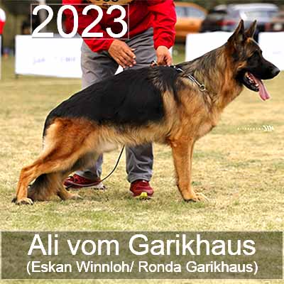 Volkan Garikhaus