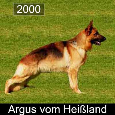 Argus Heissland