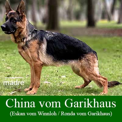 China vom Garikhaus