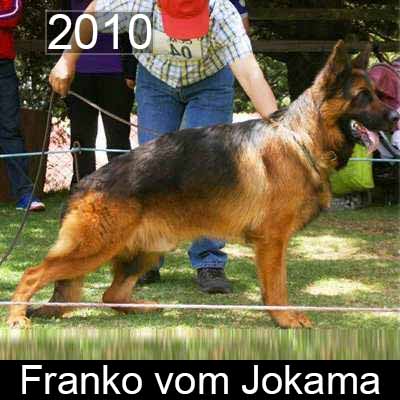 Franko vom Jokama