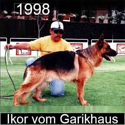 Ikor vom Garikhaus