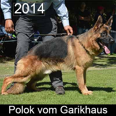 Polok Garikhaus