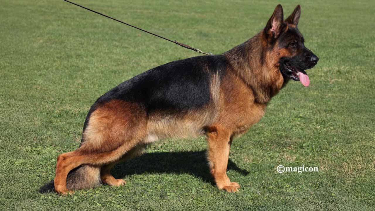 Quantum di Casa Beggiato