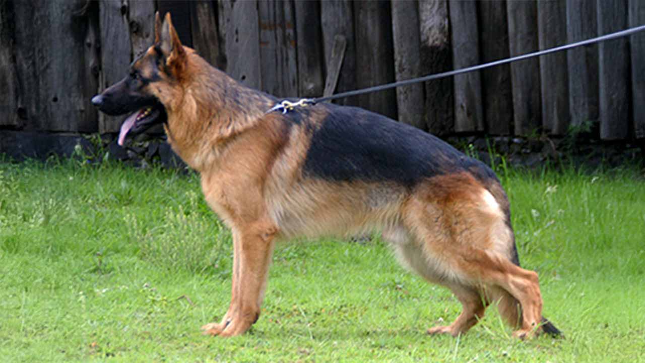 Quartz vom Garikhaus