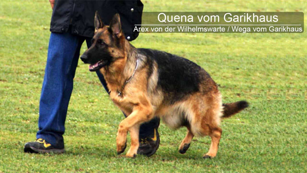 Quena vom Garikhaus