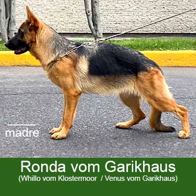 Ronda vom Garikhaus