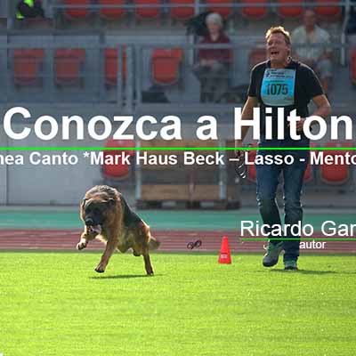 Team Marlboro Hilton