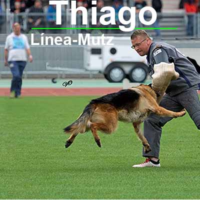 Thiago von der Piste Trophe
