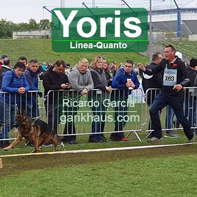 Yoris Aducht