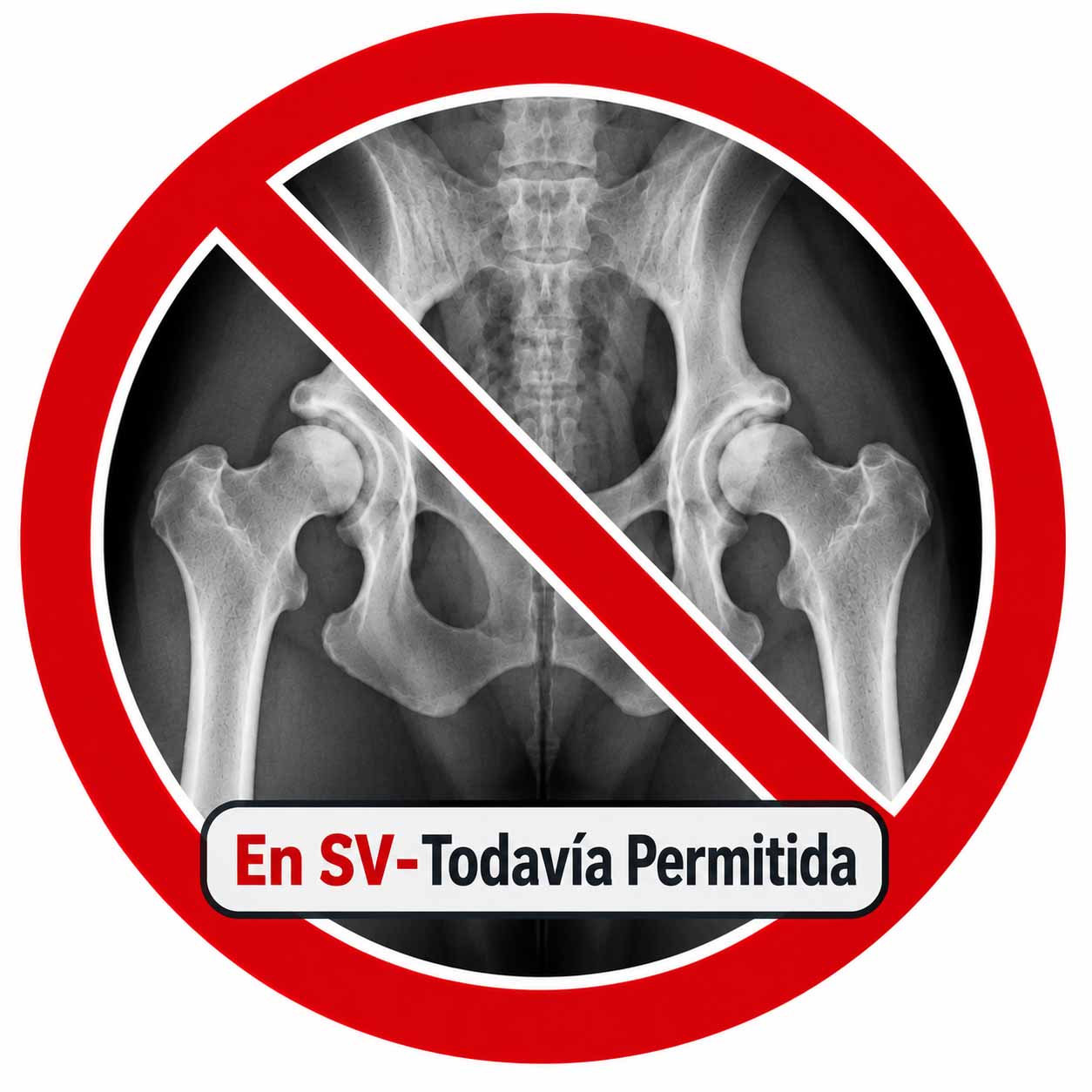 Salud Osea en Cachorros