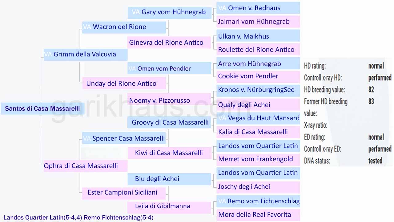 V 6 Santos di Casa Massarelli